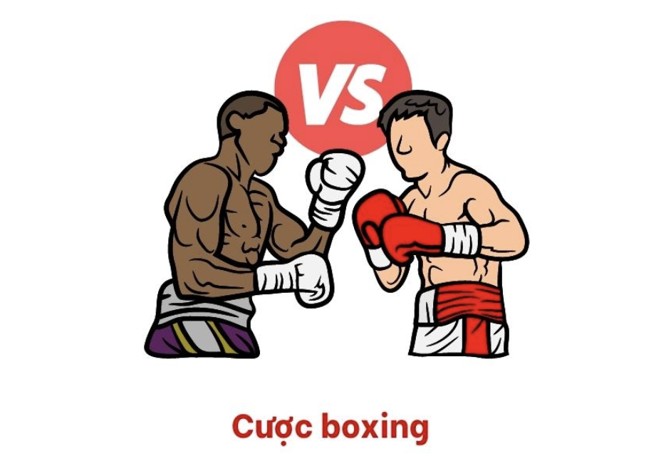 cược boxing