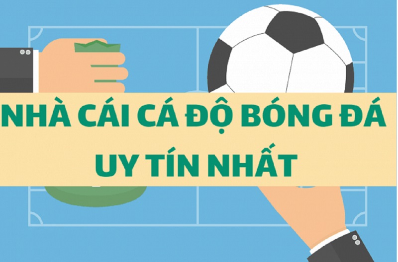 Cập nhật danh sách nhà cái cá độ bóng đá uy tín