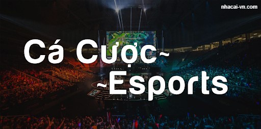 Tìm hiểu cá cược eSport nên chọn W88 hay M88