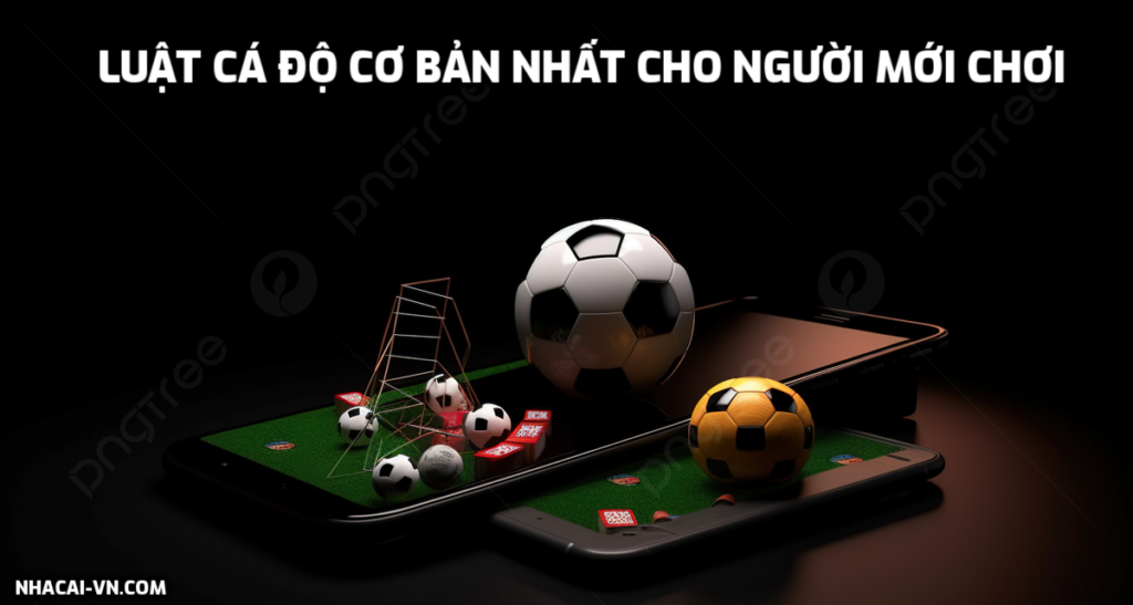 Những luật cá độ cơ bản nhất dành cho người mới chơi